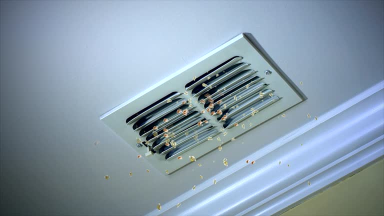 Best Air Vent Cleaning Services  in Manhattan, MT