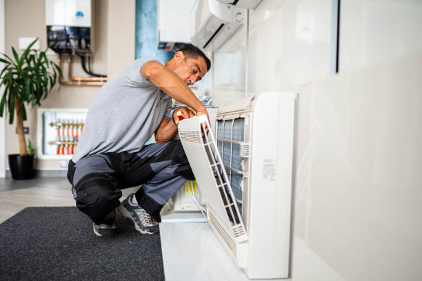 Best Air Duct Mold Removal  in Manhattan, MT